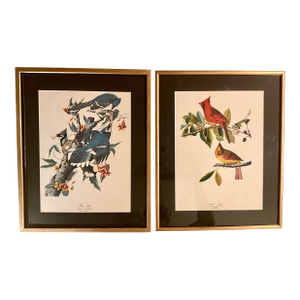 1960s Pair Audubon Folio Prints John James Audubon Blue Jay and Cardinal Grosbeak Giltwood Framed Black Matte.