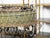 French Turn of the Century 1900s Two-Tiered Green Painted Oval Jardinière For Sale - Image 9 of 11