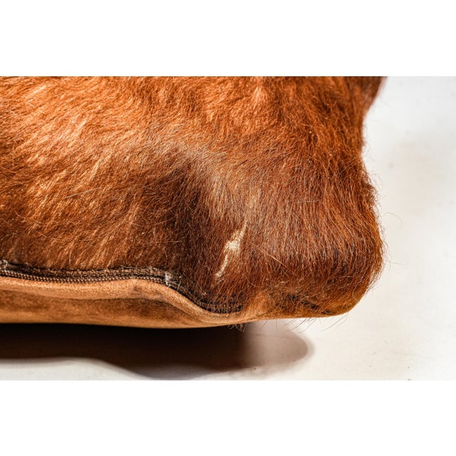 Animal Skin Lovely Vintage Small Cowhide Lumbar Accent Throw Pillow Western Home Decor For Sale - Image 7 of 10
