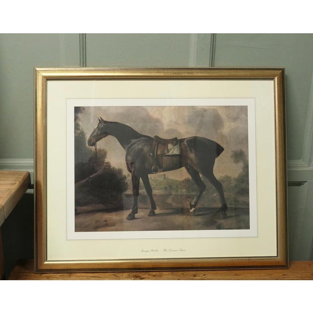 1960s George Stubbs, Horses, 1960, Large Prints, Framed, Set of 3 For Sale - Image 5 of 8