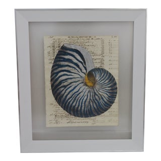 Painting of Blue Nautilus on 18th Century Manuscript Paper For Sale