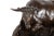 Circa 1880 French Antique Bronze Sculpture “Resting Bull” by Rosa Bonheur For Sale - Image 11 of 12