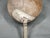 Gold Leather Boxing Gloves and Punching Ball, Czechoslovakia, 1940s, Set of 3 For Sale - Image 8 of 10