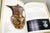 Paper 3 Oversized Adventure-Theme Coffee-Table Books – Bowers Museum-Curated Tibetan Book For Sale - Image 7 of 18