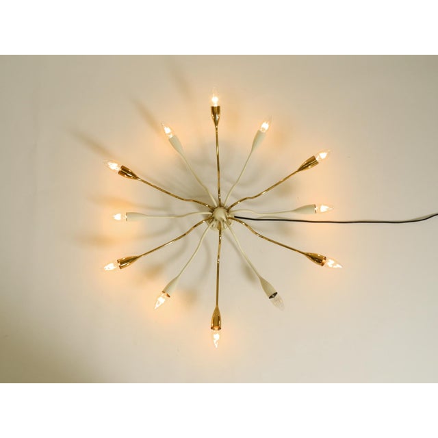 Beige Large Mid-Century Modern Brass Sputnik Ceiling Lamp with 12 Arms, 1950s For Sale - Image 8 of 18