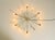 Beige Large Mid-Century Modern Brass Sputnik Ceiling Lamp with 12 Arms, 1950s For Sale - Image 8 of 18