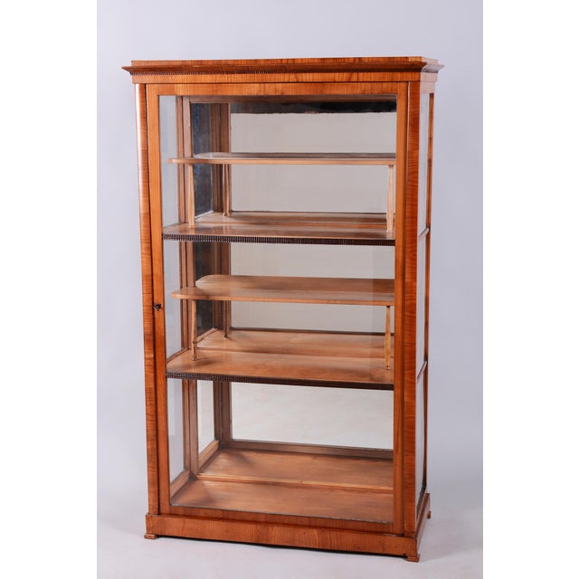 Antique Biedermeier Display Cabinet in Spruce, 1830s For Sale - Image 16 of 16