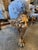 Wood Early 20th Century Pair of French Style Gold-Gilded Armchairs For Sale - Image 7 of 8