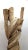 Natural Liana Vine Sculpture For Sale - Image 9 of 12
