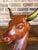 Mid 20th Century Modern Carved Wood Bull Bust Sculpture With Brass Horns For Sale - Image 12 of 13