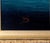 Anthony Skuse, Marine Seascape of The Ellen Stuart Ship, Oil Painting For Sale - Image 7 of 9