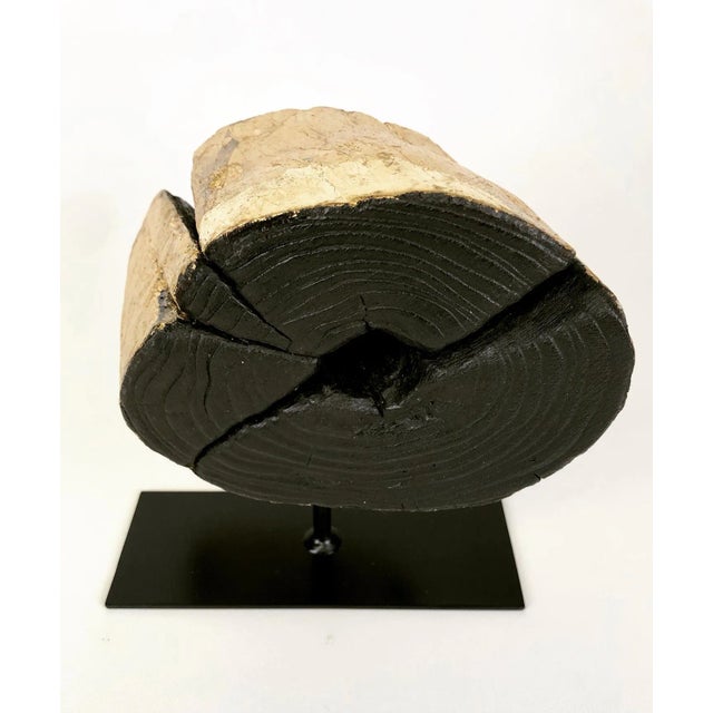 Shou Sugi Ban driftwood with applied gold leaf. Shou Sugi Ban is a Japanese wood-preserving technique that involves...