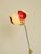 Symanka-Sy 1 Floor Lamp by Günter Ssymmank, Germany, 1959 For Sale - Image 9 of 18