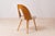 Mid-Century Dining Chairs attributed to A. Suman, 1960s, Set of 16 For Sale - Image 13 of 18