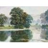 Peaceful Misty Riverside in the English Countryside with Cows & Tree Reflections by 20th Century British Artist. Unique...