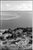 Paul Cooklin, Saint Leonards View, Edition of 50 For Sale - Image 7 of 7