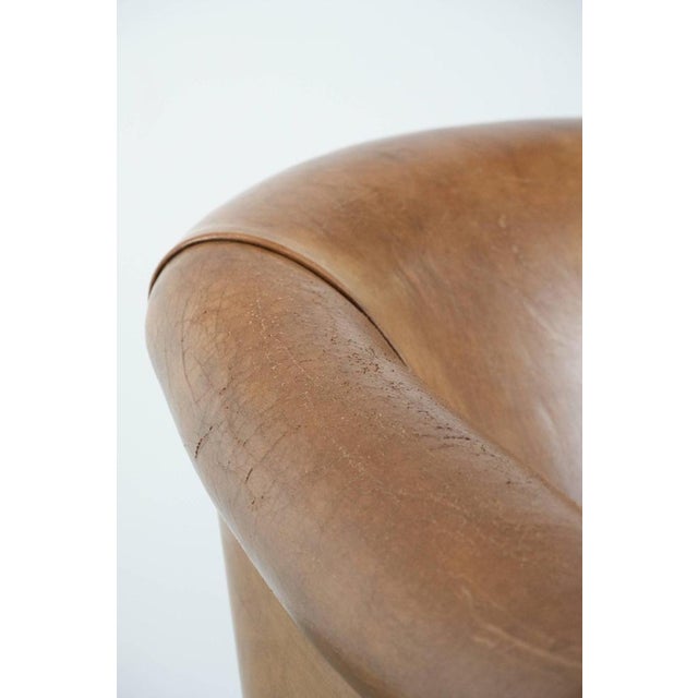 Club Armchair in Light Cognac Sheepskin For Sale - Image 11 of 14