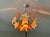 Vintage Italian Murano Style Handblown Swirl Ruffled Shade Pendant, Vintage Amber Brown & White Glass Botanical Chandelier For Sale - Image 10 of 16