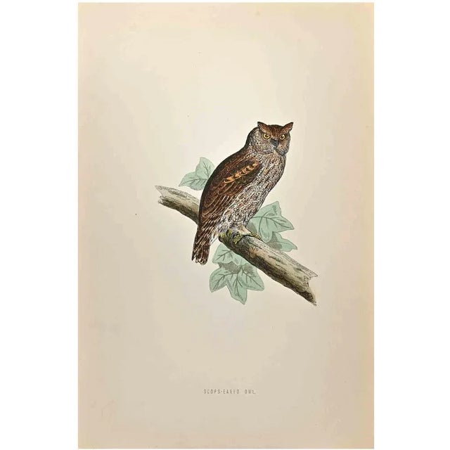 Scops-Eared Owl is a modern artwork realized in 1870 by the British artist Alexander Francis Lydon (1836-1917). Woodcut...