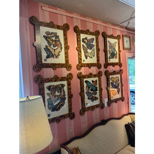 Brown "Papillions" by Eugene Allain Seguy in Faux Tortoiseshell Frames- 16 Available Priced Individually For Sale - Image 8 of 8