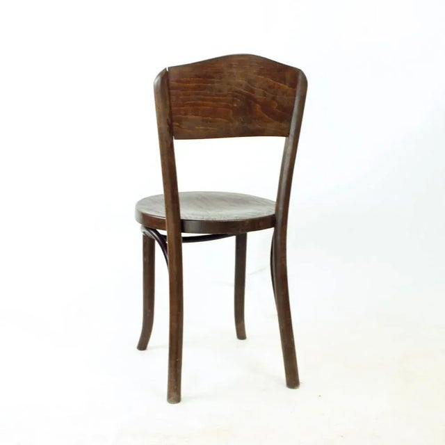 Brown Bentwood Bistro Chair attributed to Michael Thonet, Former Czechoslovakia, 1940s For Sale - Image 8 of 12