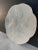 Gien Mid 20th Century French Gien White Oyster Plate For Sale - Image 4 of 12