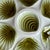 Early 20th Century Set of 8 Green French Majolica Oyster Plates & Platter Moulin Des Loups Orchies For Sale In Oklahoma City - Image 6 of 7