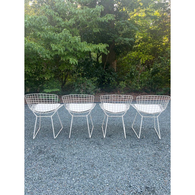 A Set of Four Wire Chairs by Harry Bertoia for Knoll International, Circa 1970 For Sale - Image 9 of 18
