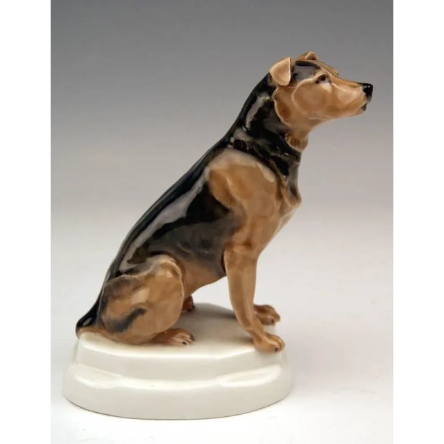 Terrier Figurine attributed to Paul Walther for Meissen, 1935 For Sale - Image 3 of 8