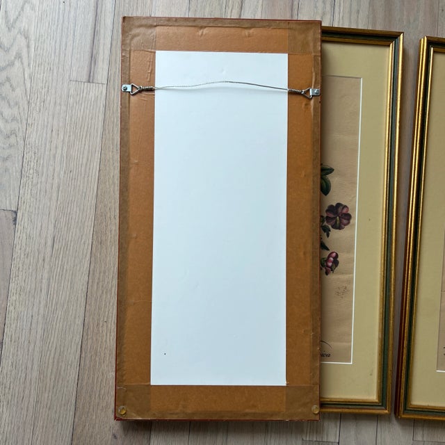 Paper Beautifully Framed Italian Hand Colored Botanical Prints on Antique Paper - Set of 3 For Sale - Image 7 of 7