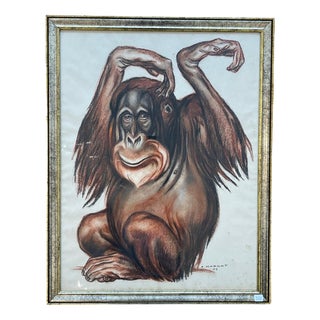 André Margat, Orang-Outan, 1929, Pastel Drawing, Framed For Sale