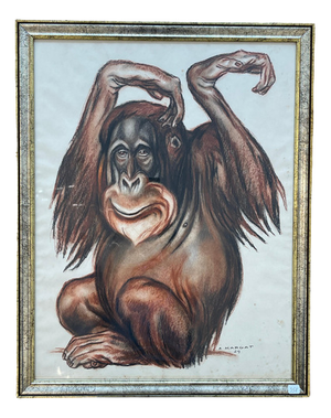 André Margat, Orang-Outan, 1929, Pastel Drawing, Framed