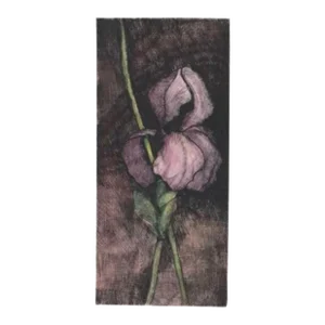 David Baird Purple Iris Still Life Etching