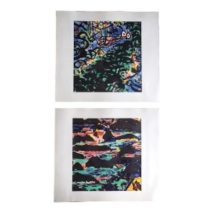Vintage Folio Size Mid 20th C. Abstract Expressionist Japanese Lithographs of Japanese Woodblock Prints - a Pair