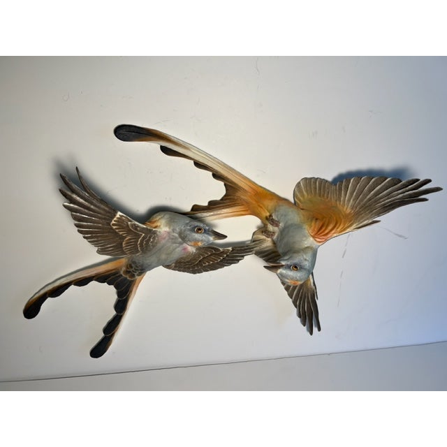 Brown Mid 20th Century Dorothy Doughty Scissor Tailed Flycatchers - a Pair For Sale - Image 8 of 16