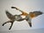 Brown Mid 20th Century Dorothy Doughty Scissor Tailed Flycatchers - a Pair For Sale - Image 8 of 16
