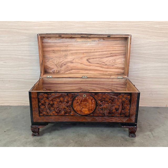Antique Circa 1900 Hand Carved Chinese Camphor Wood Travelling Trunk For Sale - Image 9 of 12