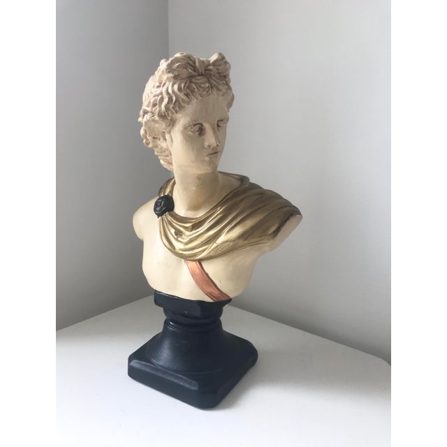 Rare painted bust of Apollo. Great infusion of subtle color makes this a stand-out unique bust.