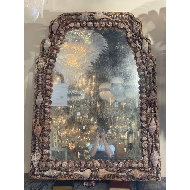 Vintage Sea Shell MIrror For Sale In Dallas - Image 6 of 8