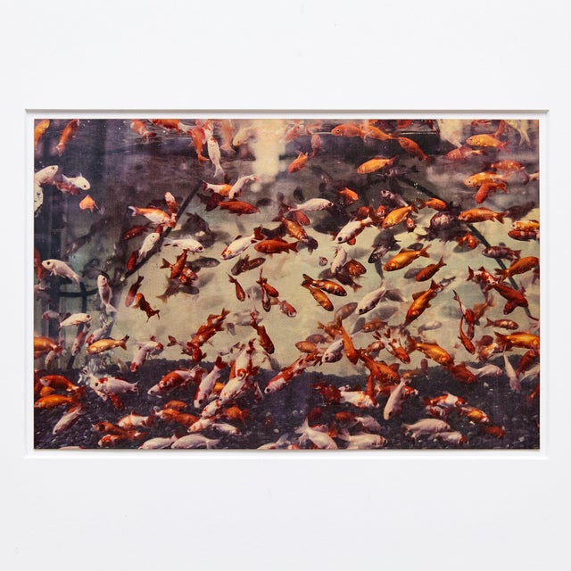 Mouth of Krishna 128 Print by Albarran & Cabrera, 2013 For Sale - Image 6 of 10