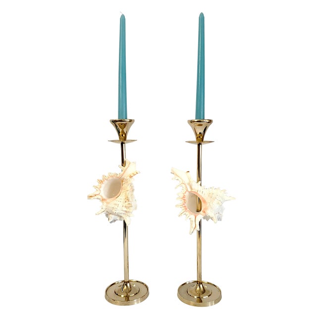 Brass Candlesticks Shells Seashells Pair For Sale - Image 14 of 15