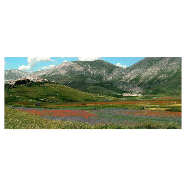 Giuseppe Marani, The Garden, Original Photograph, 2010s For Sale