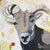 Modern "Ram Stare" a Ram Painting For Sale - Image 3 of 12