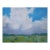 Contemporary Landscape Oil – Dramatic Sky Over Soft Green Meadow For Sale