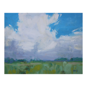 Dramatic Sky Over Soft Green Meadow by L Haas