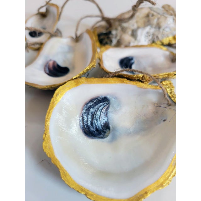 Contemporary Gilded Rimmed Oyster Shell Ornaments- Set of 6 For Sale - Image 4 of 8