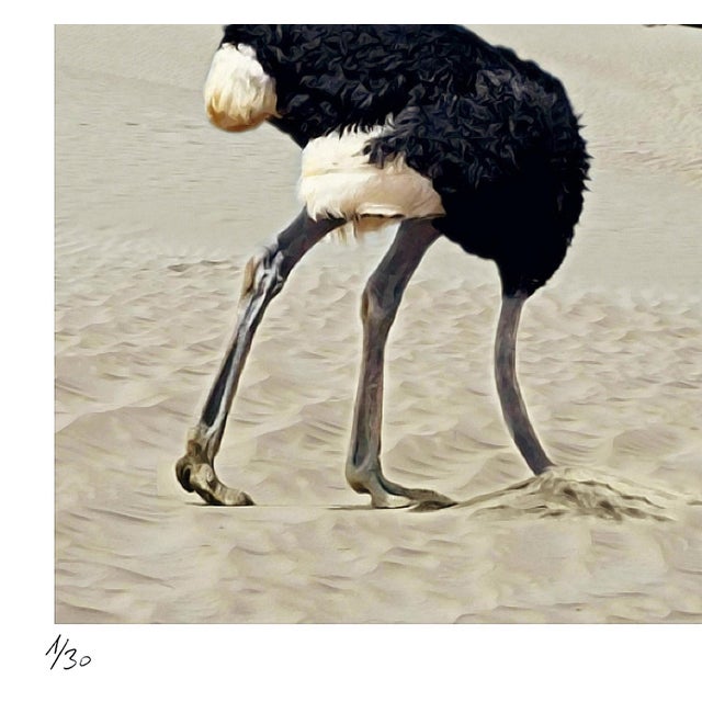 Contemporary Mr Strange, Ostrich Policy, 2019, Screen Print For Sale - Image 3 of 6
