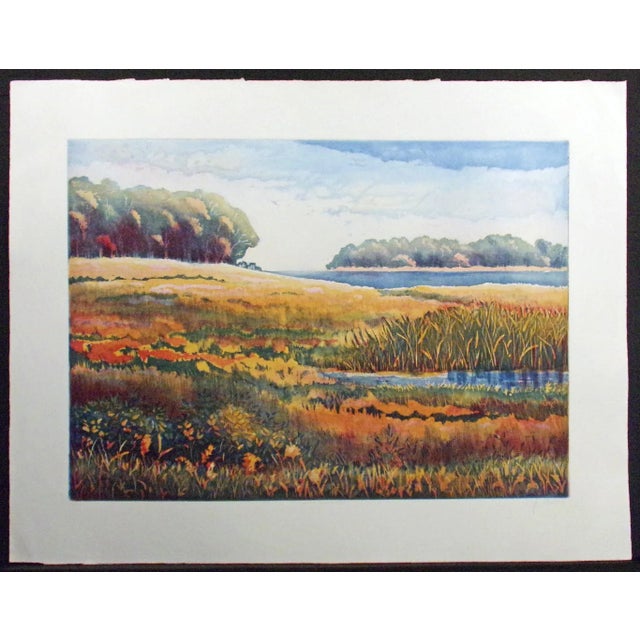 Impressionist 1990s Nicolette Jelen "Summer Morning Viii" Signed Aquatint Etching Art Landscape For Sale - Image 3 of 7