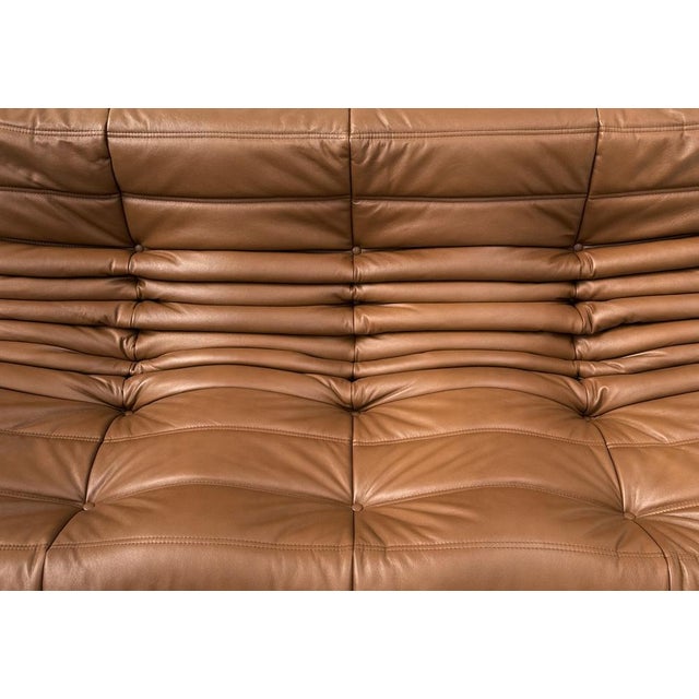 Animal Skin French Togo Sofa in Dark Cognac Leather attributed to Michel Ducaroy for Ligne Roset For Sale - Image 7 of 15