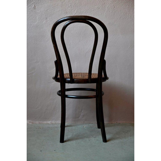 N°18 Chairs in Bentwood, Set of 2 For Sale - Image 10 of 14